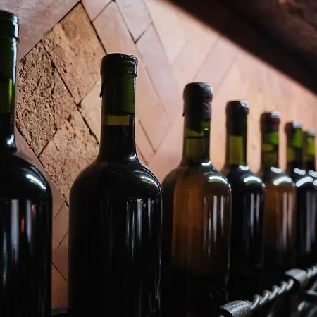 Hotel Ungvarskiy Thermal